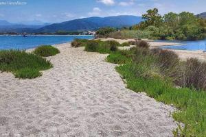 a sandy beach next to a body of water at Falcon Best Beach in Falcone