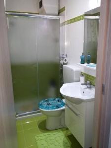 a bathroom with a shower and a toilet with a blue seat at Falcon Best Beach in Falcone
