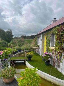 a house with a garden with potted plants on it at The Nest Quaint Luxury Cottage Getaway in Tiragarvan
