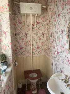 a bathroom with a toilet and a sink at Westbrook-Homestay in Swansea