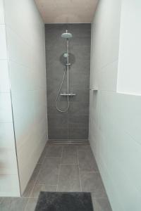 Un baño con ducha con puerta de cristal. en Ferienwohnung Steinablick mit großem Balkon & Garage, en Ühlingen-Birkendorf 15 fotos más