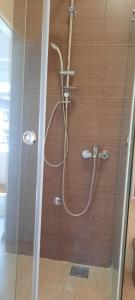 a shower with a shower head in a bathroom at The Bridgeview Suite in Belgrade