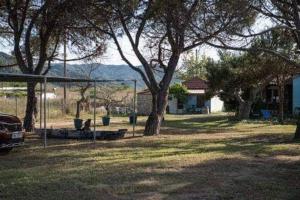 un parque con árboles y un aro de voleibol en Malama Rooms, en Sikia