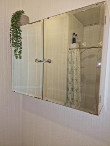 a mirror in a bathroom with a plant in it at Fylde Court in Morecambe