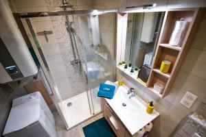 - une vue de tête sur une salle de bains pourvue d'une douche et d'un lavabo dans l'établissement Lynx, à Pontarlier