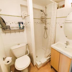 a bathroom with a toilet and a shower and a sink at Un cadre magnifique, au cœur du Verdon in Castellane