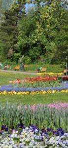 a garden with colorful flowers in a park at Damien in Bad Bergzabern