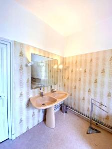 łazienka z umywalką i lustrem na ścianie w obiekcie Demeure St Martin w mieście Vierzon
