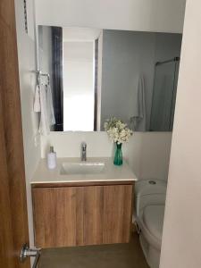 a bathroom with a sink and a toilet at APARTAMENTO TIZIANI MANIZALES in Manizales
