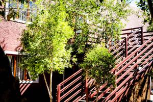 Windhoek Gardens Boutique Hotel tesisinin dışında bir bahçe