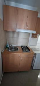 a small kitchen with a sink and a stove at NikolasStudioCenter in Ploieşti