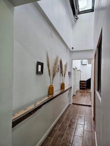 korytarz z dwoma doniczkami na półce w obiekcie Guest House Club Hípico w mieście Santiago