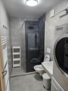 y baño con ducha, aseo y lavamanos. en Apartmány Formanka na náměstí, en Hustopeče