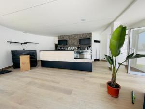 a kitchen and living room with a potted plant at Demetra Seafront Apartment - Parking & Pool in Castel Volturno