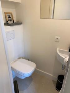 a bathroom with a toilet and a sink at de graslelie in Schoten