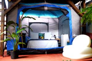 een slaapkamer in een tent met een bed erin bij Panama House Bed & Breakfast in Panama-Stad