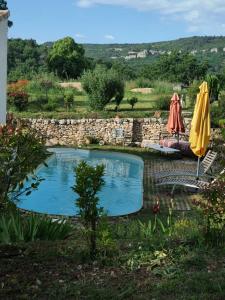 een zwembad in een tuin met een parasol bij Gîte Hanna en Luberon - Le Boisset de St Martin de Castillon in Saint-Martin-de-Castillon