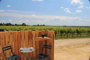 a table and chairs in front of a fence with a vineyard at Gîte Le Saint Martin 1 - 4 pers. in Blaslay