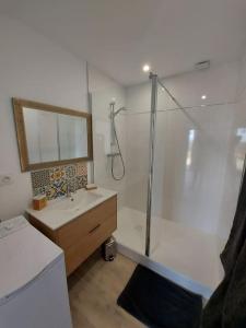 un baño con ducha y lavabo en Gîtes Le Saint Martin Le Cosy 1 - 4 pers, en Blaslay