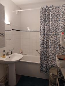 a bathroom with a sink and a bath tub at Charmant appartement T2 parc JB Lebas in Lille