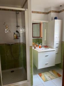 bagno con doccia e lavandino di Ô Mélèze a Morsang-sur-Orge