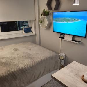 TV a/nebo společenská místnost v ubytování Peplerhome