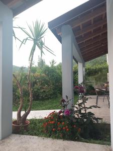 a porch with a palm tree and flowers at Rustic village in Rijeka Crnojevića
