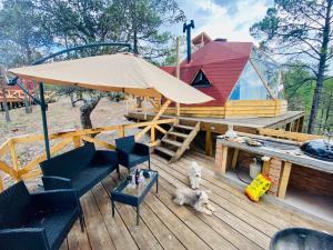 a house with an umbrella and a dog on a deck at Glamping Town in Otinapa