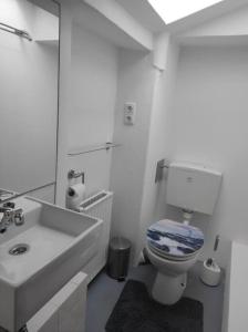 a white bathroom with a toilet and a sink at Ferienhaus Bieberhöhe in Plön