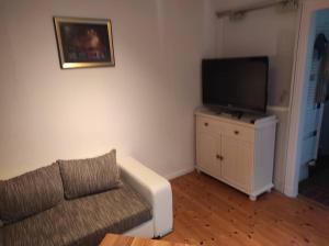 TV a/nebo společenská místnost v ubytování Ferienhaus Bieberhöhe