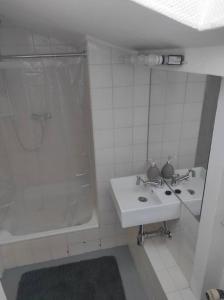 a white bathroom with a sink and a shower at Ferienhaus Bieberhöhe in Plön