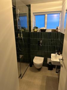 W wyłożonej zielonymi kafelkami łazience znajduje się toaleta i umywalka. w obiekcie Sudurgata w Hafnarfjördurze