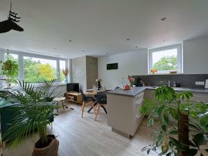 a kitchen and living room with potted plants at La forêt Enchantée - Cozy Immo in Orschwiller