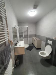La salle de bains est pourvue de toilettes, d'un lavabo et d'une douche. dans l'établissement Apartmán Ostrov nad Oslavou, à Ostrov nad Oslavou