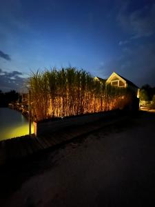 Foto sihtkohas Neusiedl am See asuva majutusasutuse Haus am See galeriist
