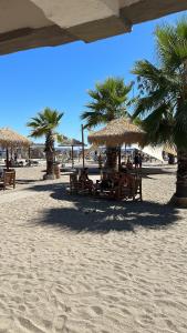 una spiaggia con sedie, ombrelloni e palme di Appartamento Rivarola Ulivo a Carasco