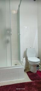 een badkamer met een toilet en een glazen douche bij motorest U KONĚ in Stein Schönau