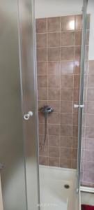 een douche met een glazen deur in de badkamer bij motorest U KONĚ in Stein Schönau
