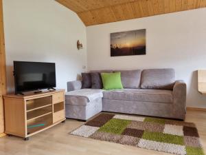 ein Wohnzimmer mit einem Sofa und einem Flachbild-TV in der Unterkunft Haus Felder Schoppernau in Schoppernau