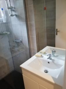 uma casa de banho com um lavatório e um chuveiro em Grande maison au calme au cœur d un bois em Ferrières