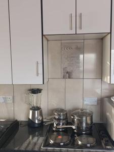 a kitchen counter with two pots and a blender at Serene Cottage in Francistown