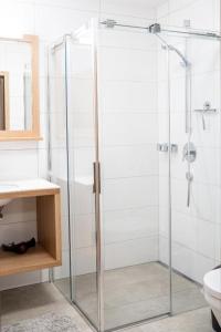 a bathroom with a shower with a glass door at Faschina Apartment - Top 4 in Fontanella