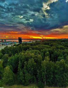 una vista aérea de un bosque de árboles al atardecer en Penthouse apartment with an amazing view, en Tallin