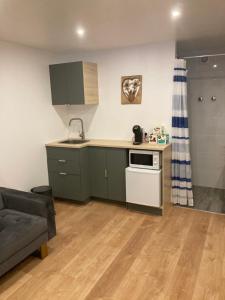 una cocina con armarios verdes y un sofá en una habitación en Un studio dans notre chalet en La Plagne Tarentaise
