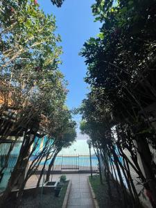 una pasarela entre árboles con el océano en el fondo en HOTEL MARAMBAIA, en Ponta Porã