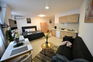 Kuchyň nebo kuchyňský kout v ubytování West in apartments