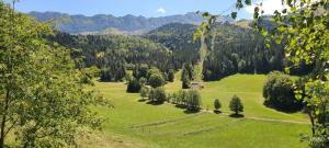 Príroda v okolí apartmánu