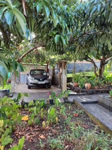 a car parked in a parking lot under a tree at La Tolka, petite maison entre mer et montagne in Saint-Joseph