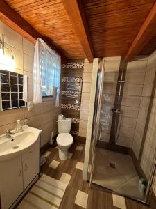 ein Bad mit einem WC, einer Dusche und einem Waschbecken in der Unterkunft Domki Pod Brzoza in Idzików