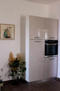 Кухня или мини-кухня в Apartman Maslina
